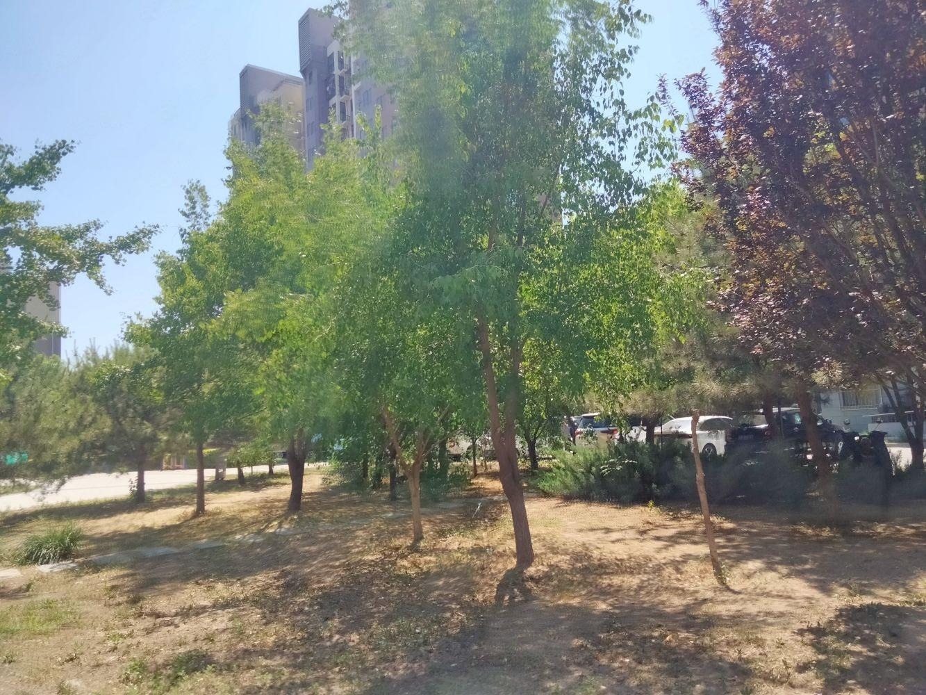 北京育新花园南里二手房房源图片