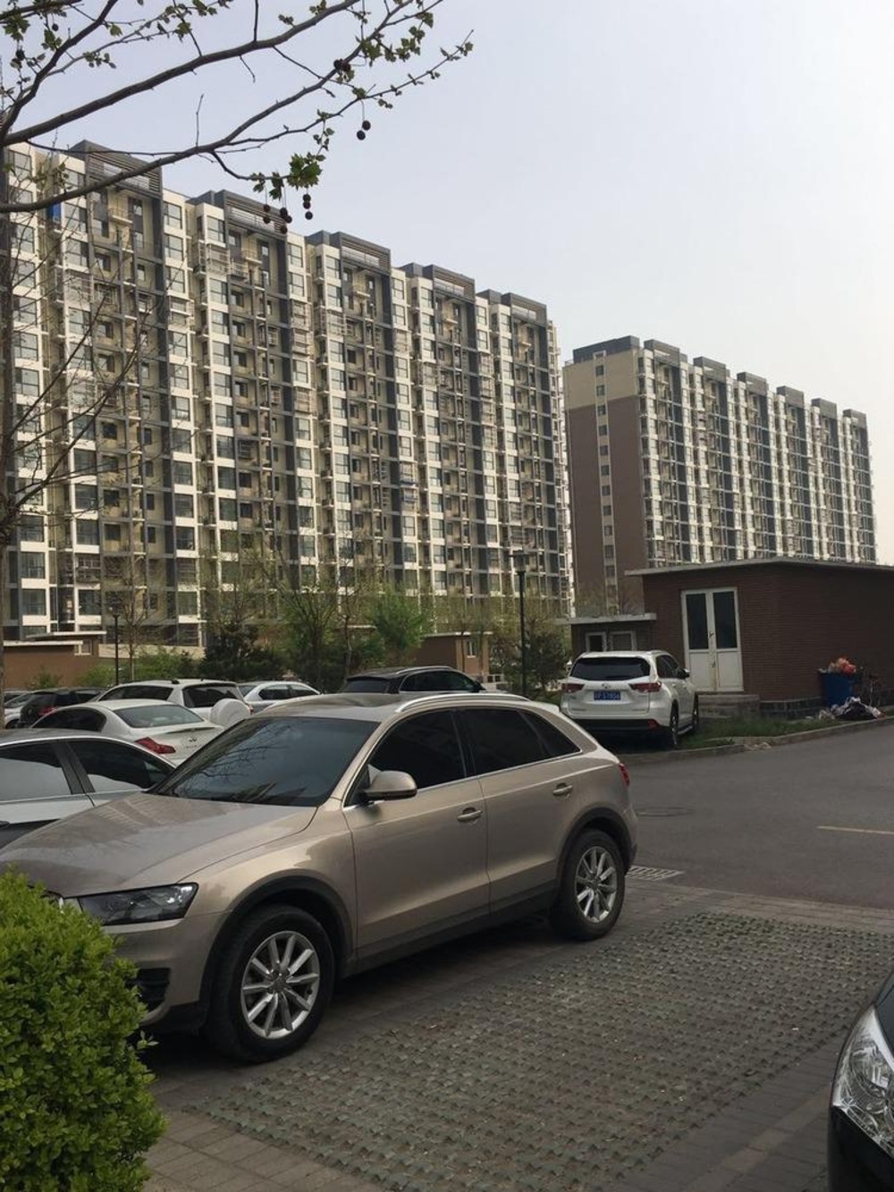 北京育新花园南里二手房房源图片