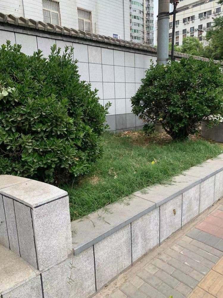 北京右外大街1号楼二手房房源图片