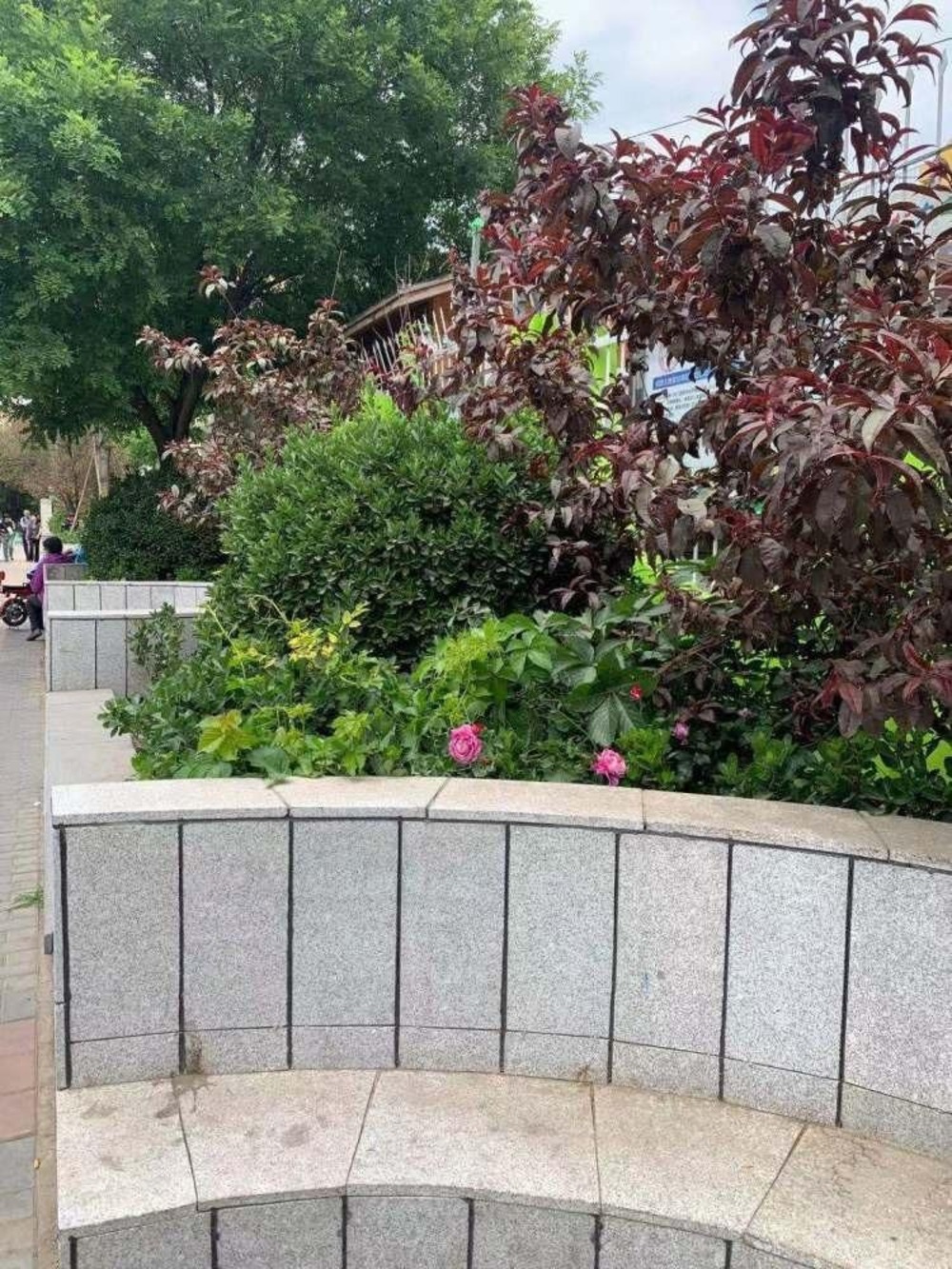 北京右外大街1号楼二手房房源图片