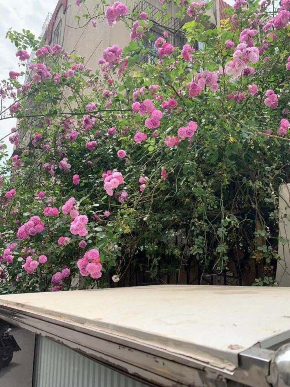 北京右外大街1号楼二手房房源图片