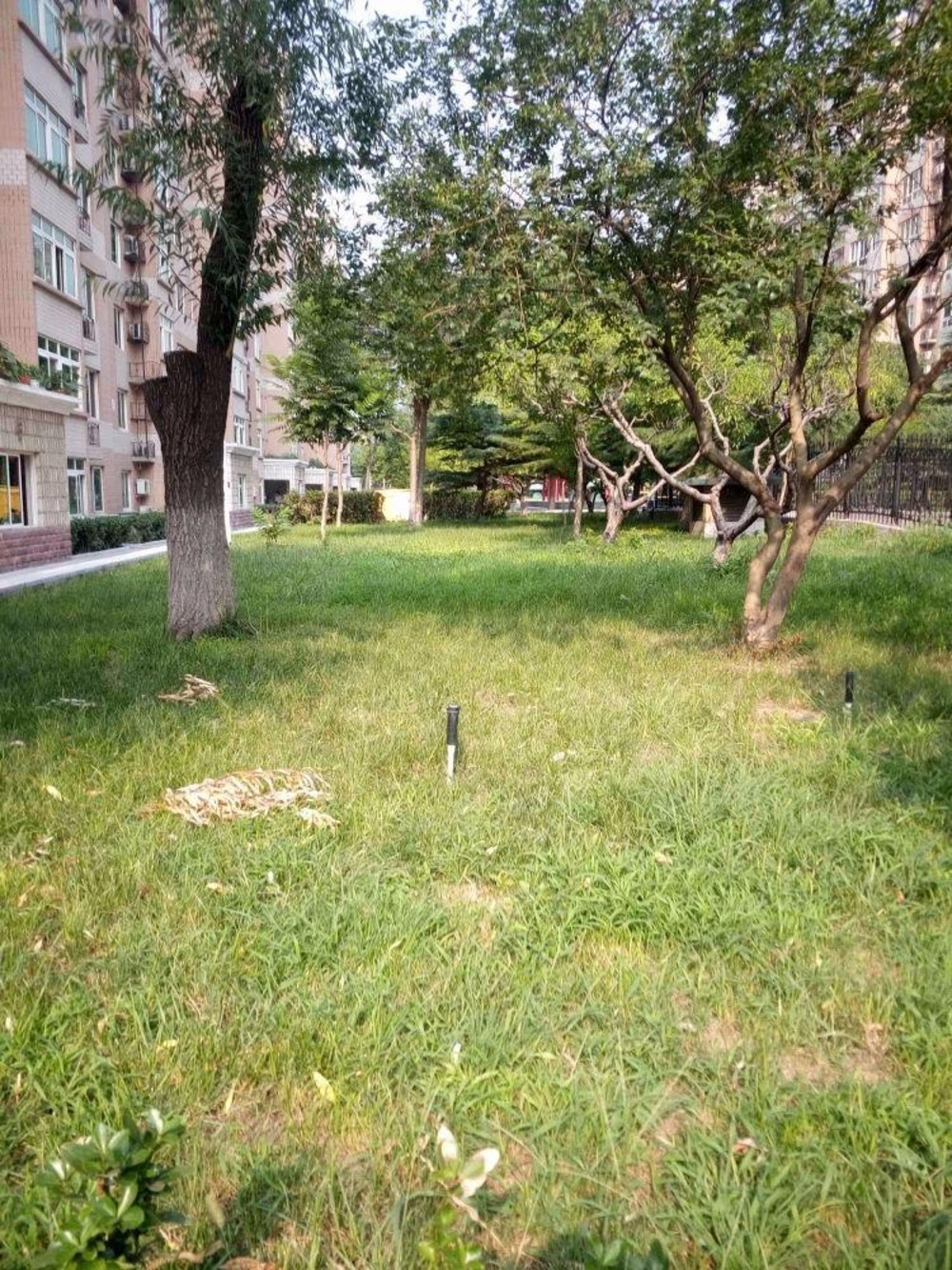 北京远大园一区二手房房源图片