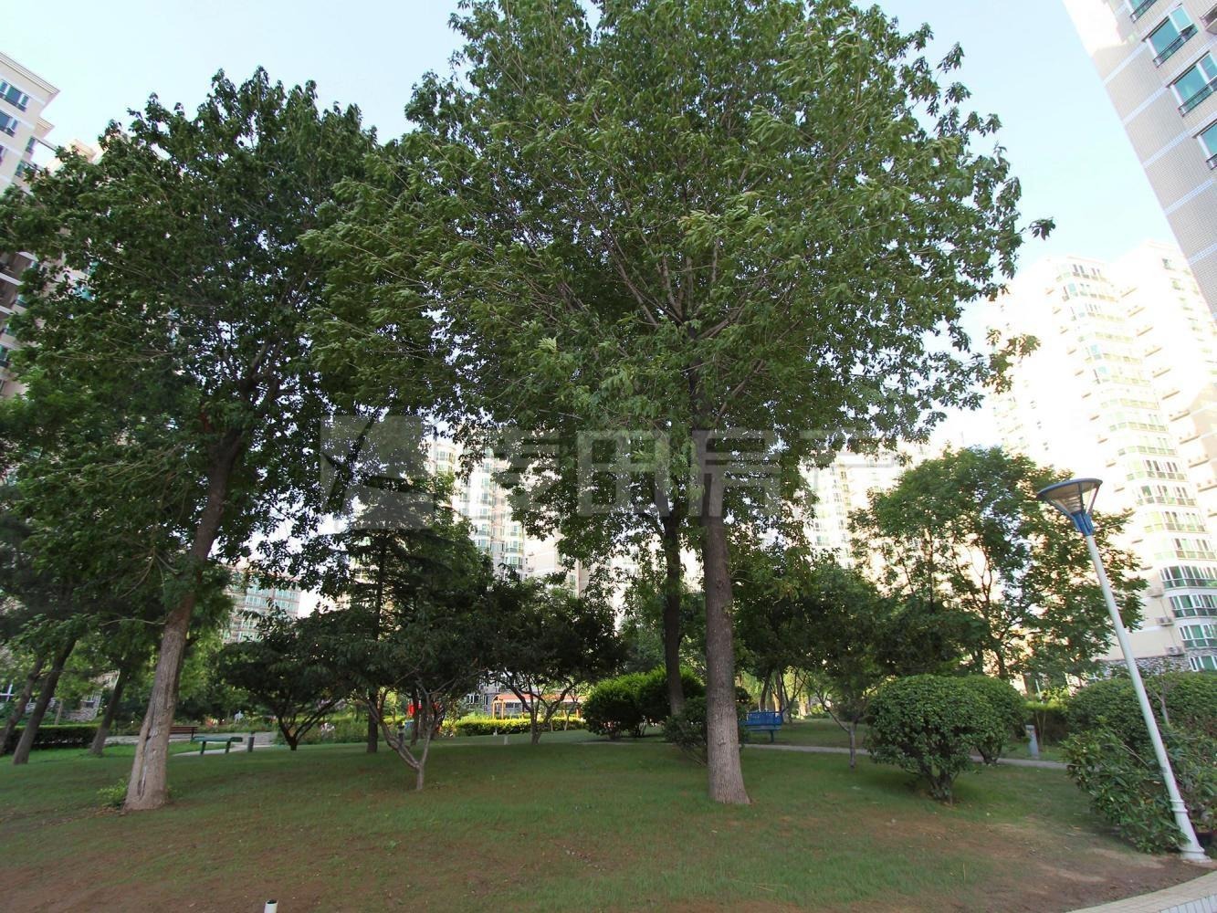 北京垂虹园(蓝靛厂)二手房房源图片