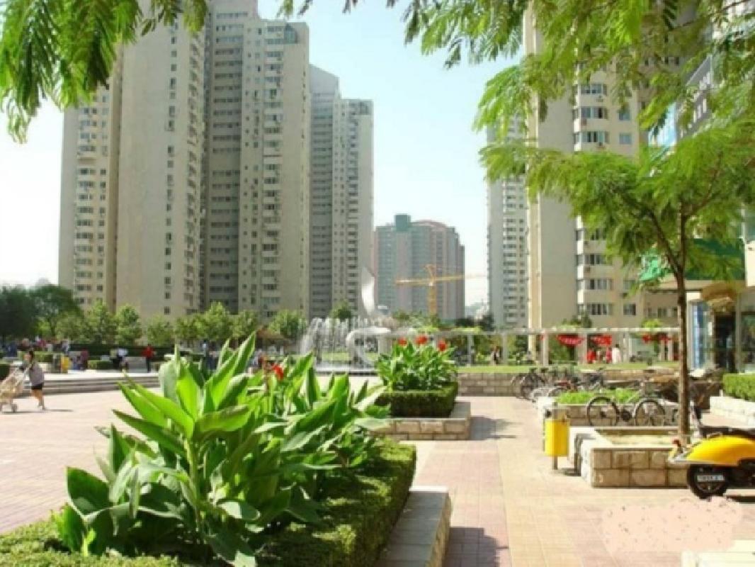 北京望京新城图片