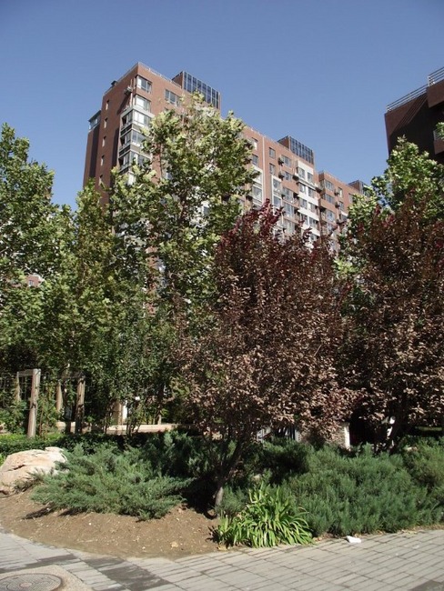 北京嘉铭桐城图片