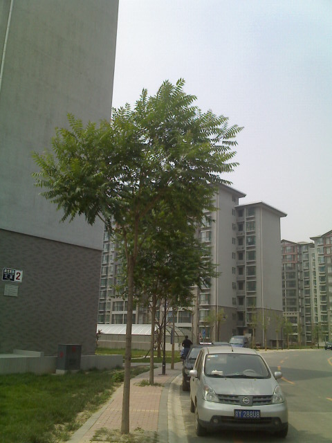 北京水墨林溪图片