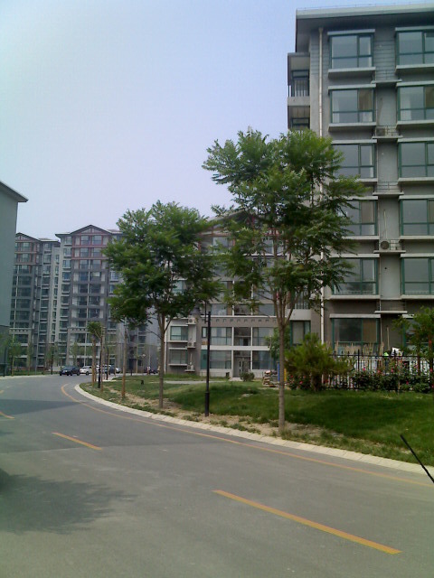 北京水墨林溪图片