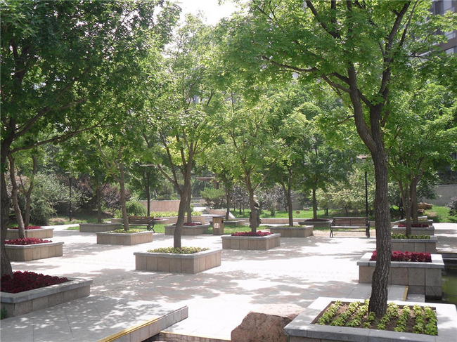 北京富力城图片