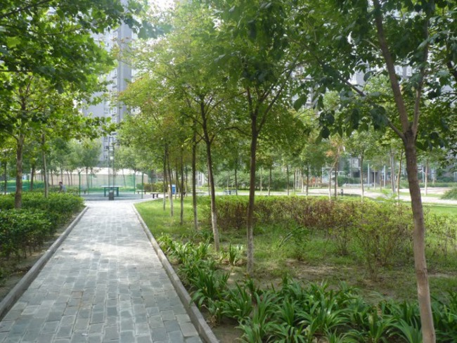 北京国美第一城图片