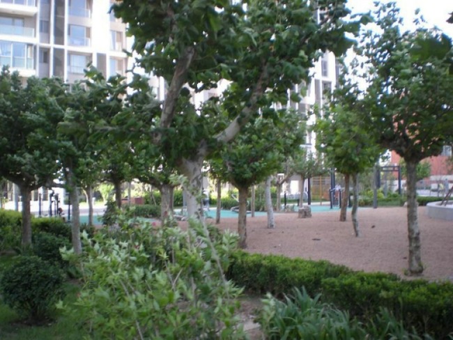 北京北纬40°图片