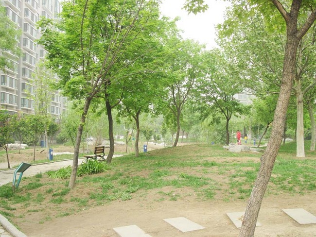 北京国美第一城图片