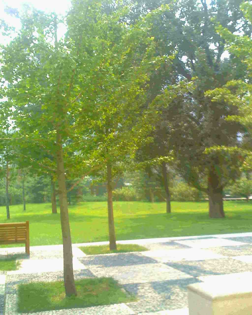 北京凤凰城三期图片