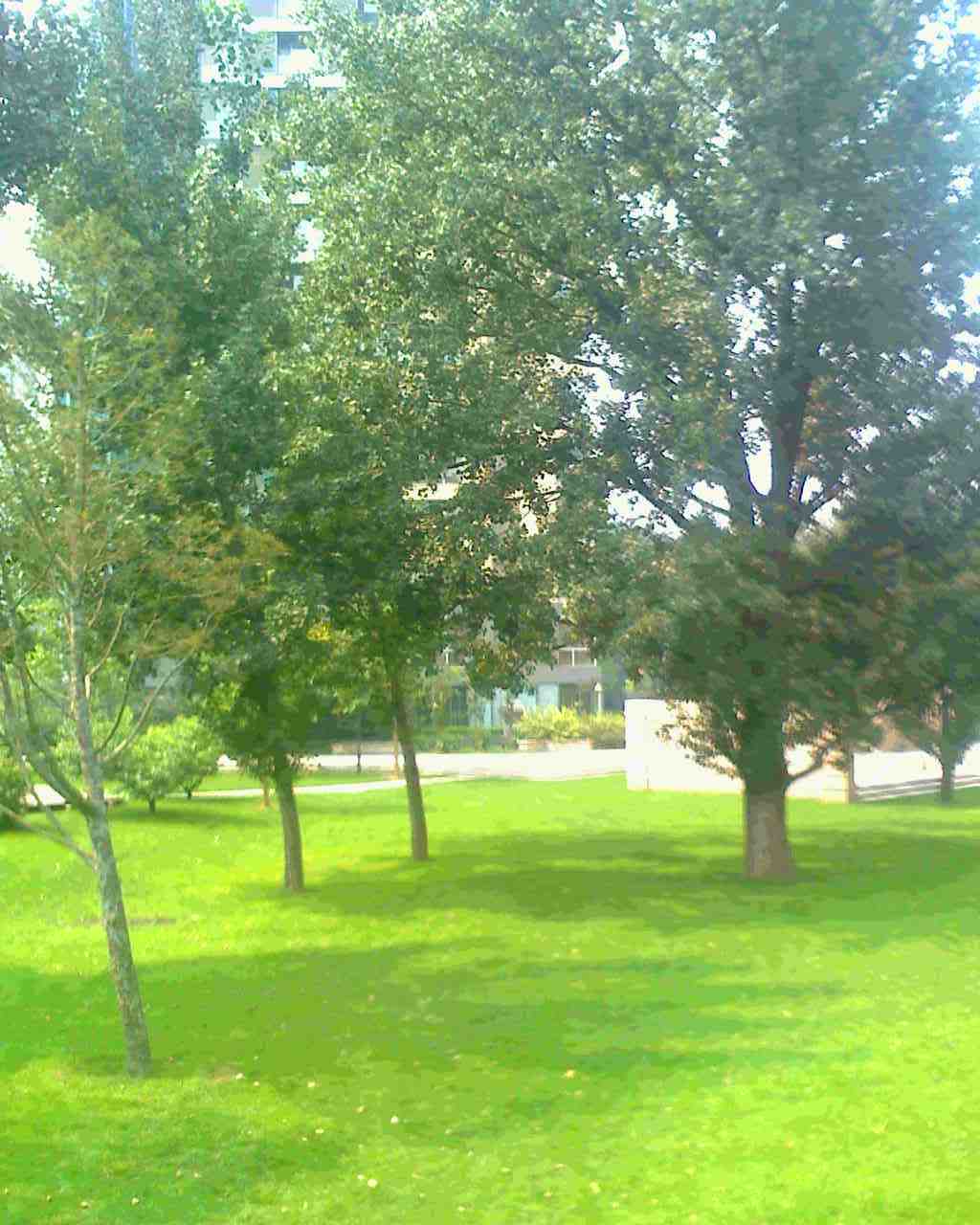 北京凤凰城二期图片