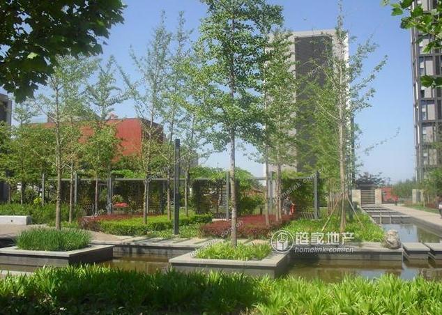 北京北纬40°图片