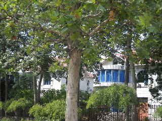 北京王府花园图片