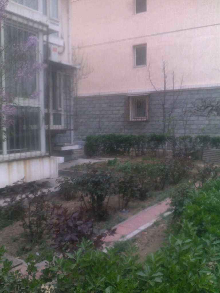 北京王府花园图片