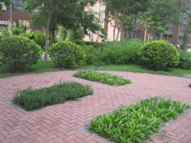 北京北京香颂图片