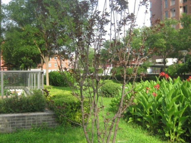 北京北京香颂图片