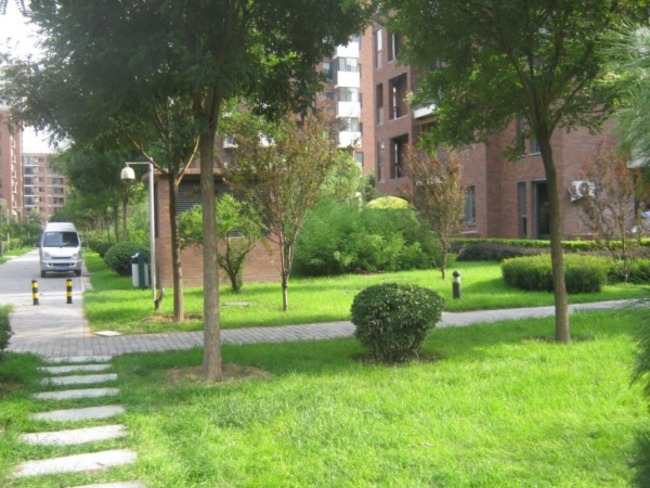 北京北京香颂图片