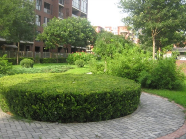 北京北京香颂图片