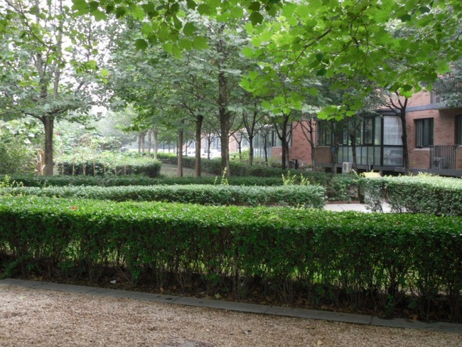 北京金地格林小镇图片