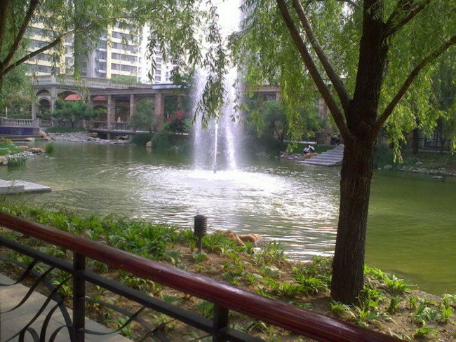 北京棕榈泉国际公寓图片