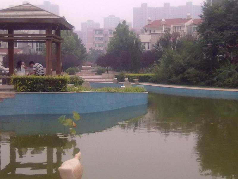 北京新华联家园图片