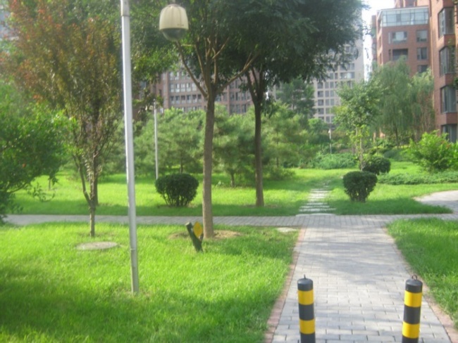 北京北京香颂图片