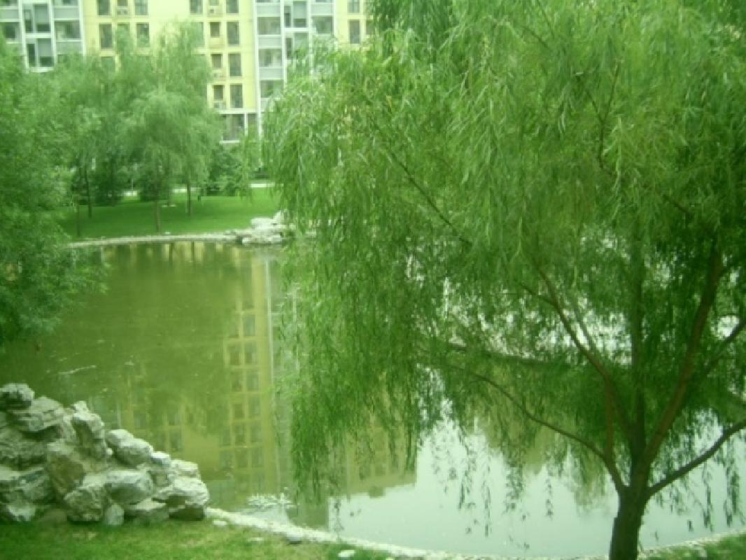 北京慧谷阳光图片