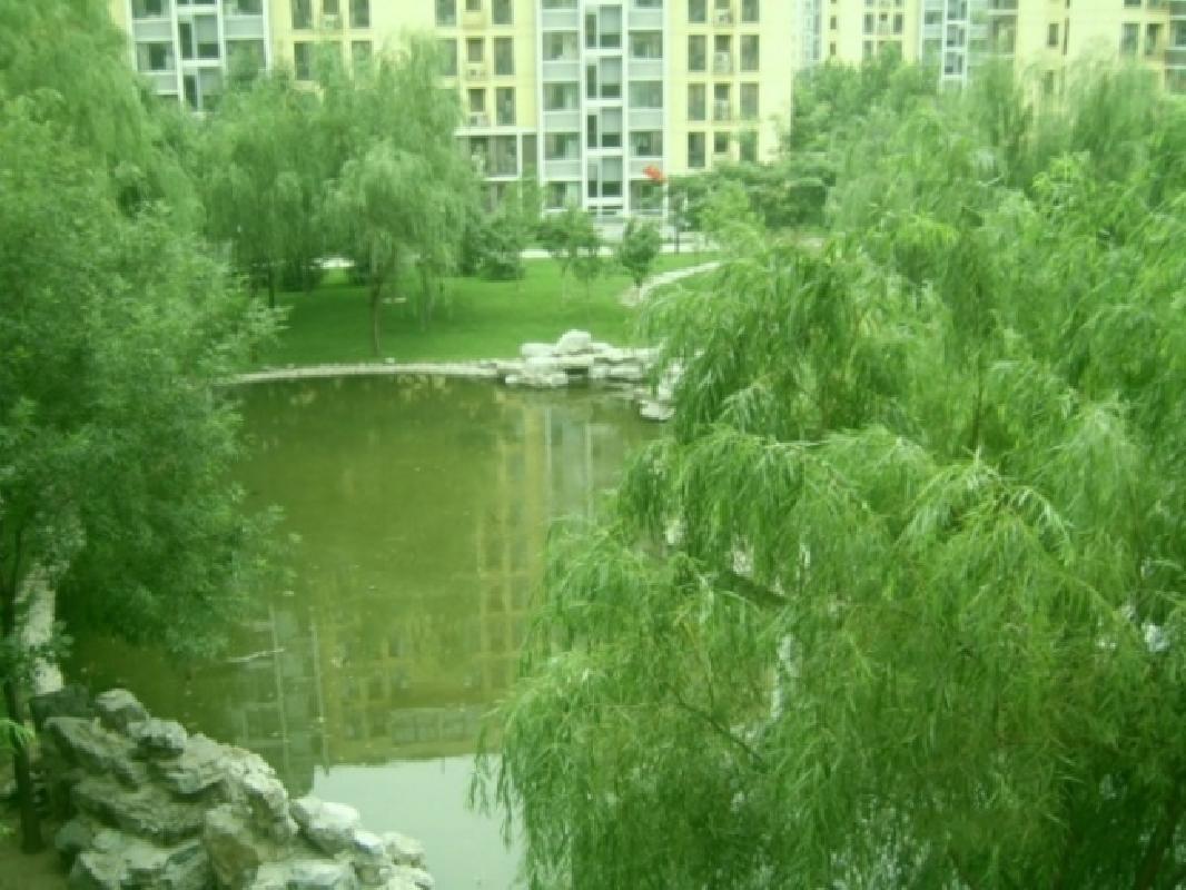 北京慧谷阳光图片