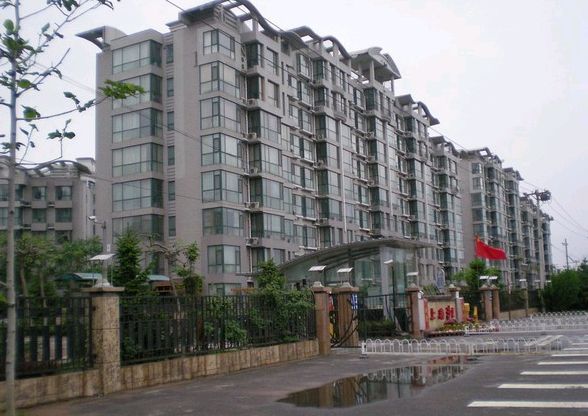 北京上海沙龙三期图片