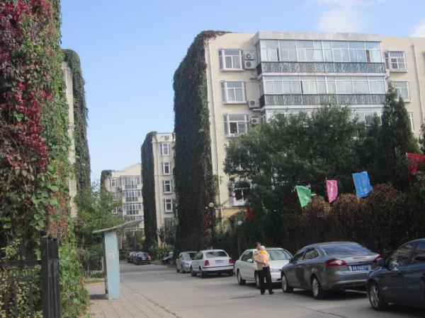 北京天通苑本四区图片
