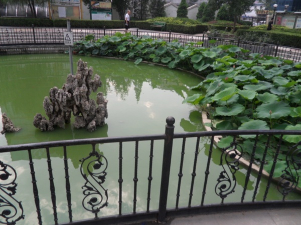 北京圣馨大地家园图片