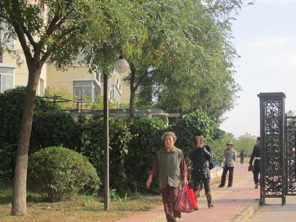 北京天通苑本四区图片