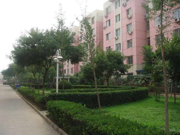 北京北京人家图片