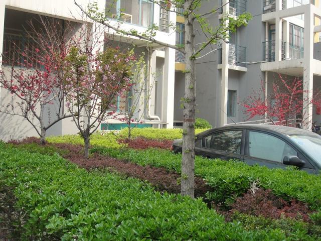 北京北京人家图片