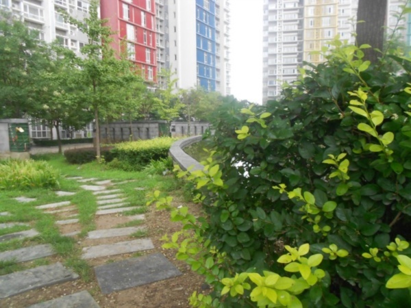 北京宝星国际图片