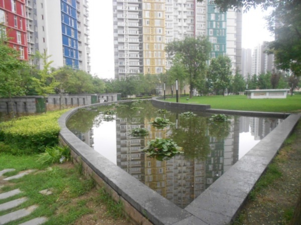 北京宝星国际图片