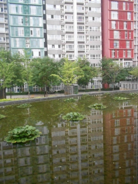 北京宝星国际图片