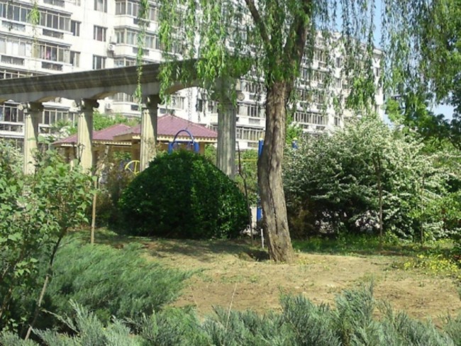 北京天通苑东三区图片