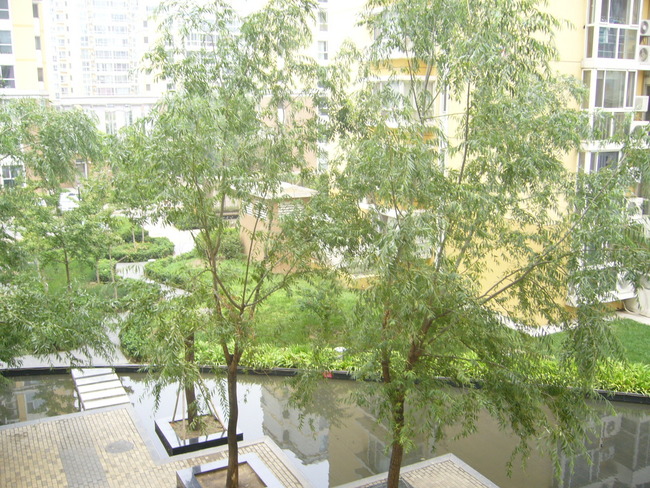 北京星河城三期图片