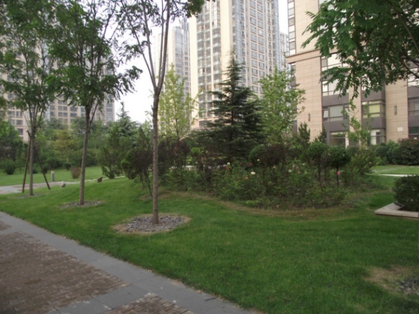 北京华远裘马都图片