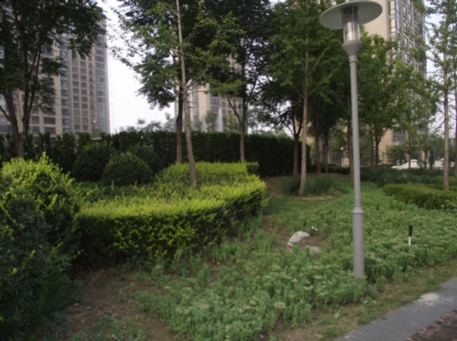 北京华远裘马都图片