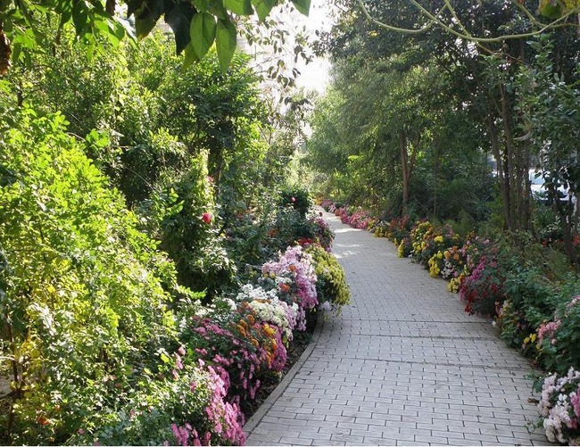 北京天通苑北三区图片