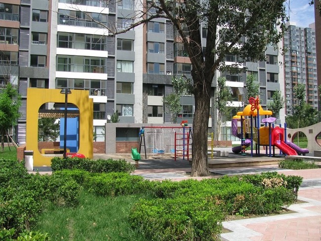 北京爱这城图片