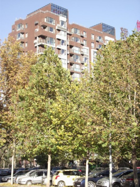 北京嘉铭桐城图片