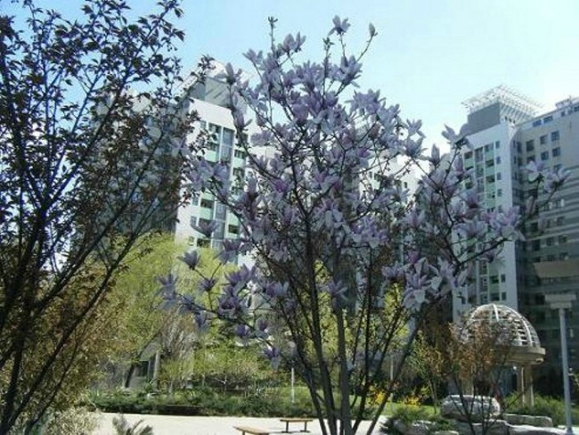 北京嘉润花园图片