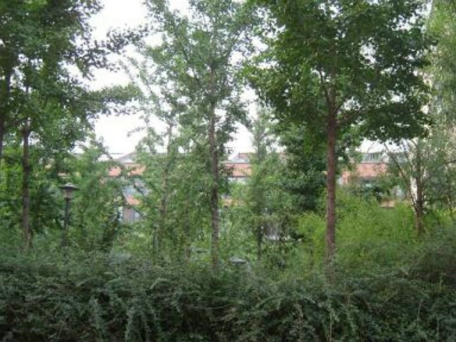 北京嘉润花园图片