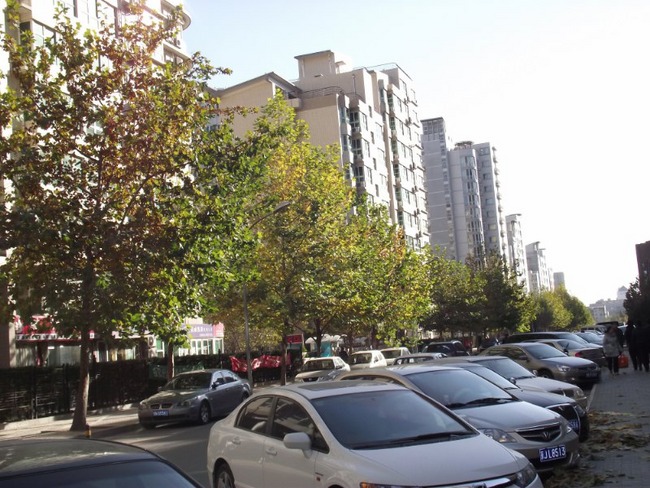 北京嘉铭桐城图片