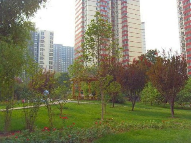 北京利泽西园图片